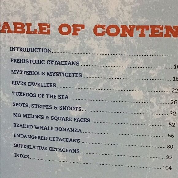 Discovering Whales, Dolphins & Porpoises Book - Picture 6 of 8